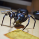 Illustration for article titled 12-Inch Nathan Drake Figure Is... Argh! Spider!